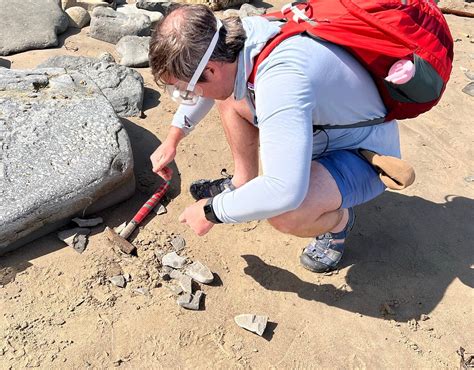 fossil walks lyme regis.